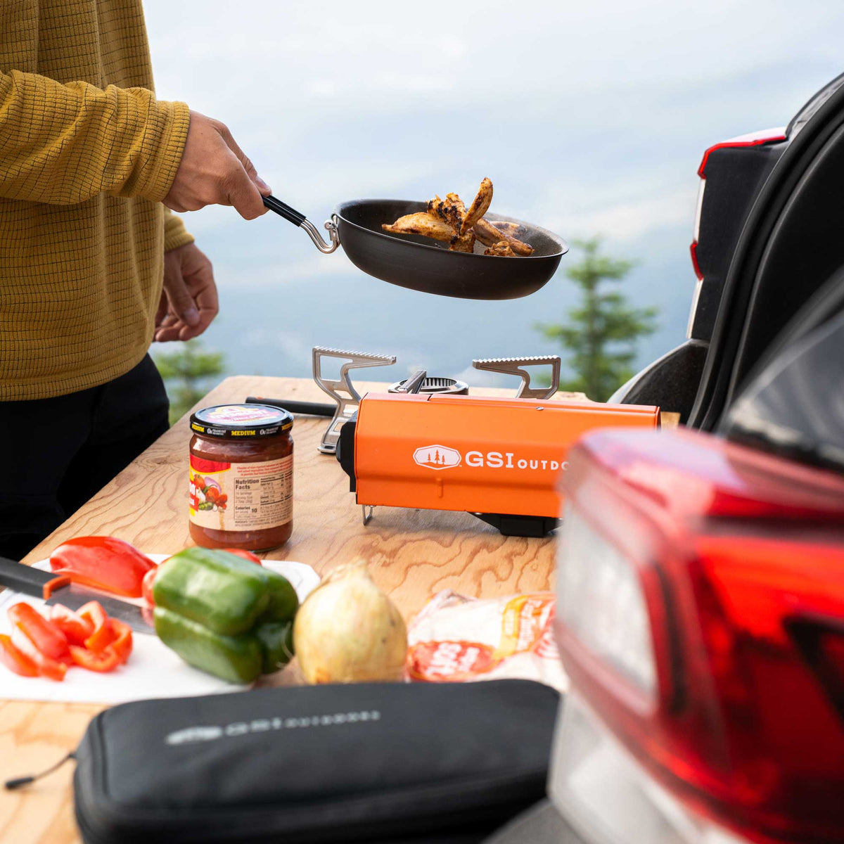 Selkirk 270 Butane Stove